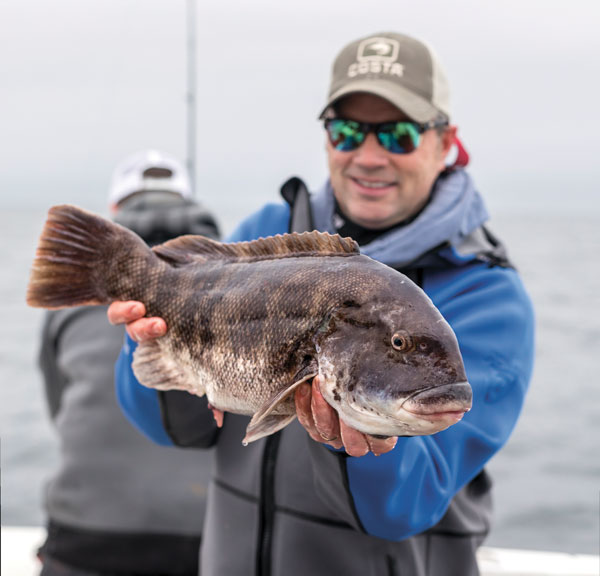 tips for 10-pound tautog