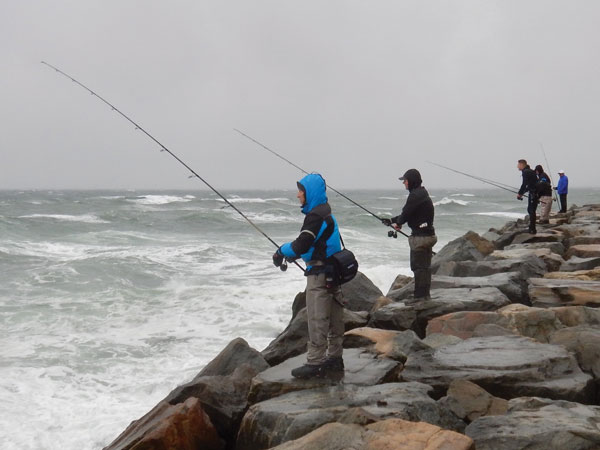 Korker boots will help keep your footing when fishing jetties.