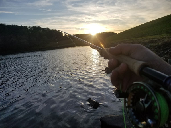sunrise flyrod