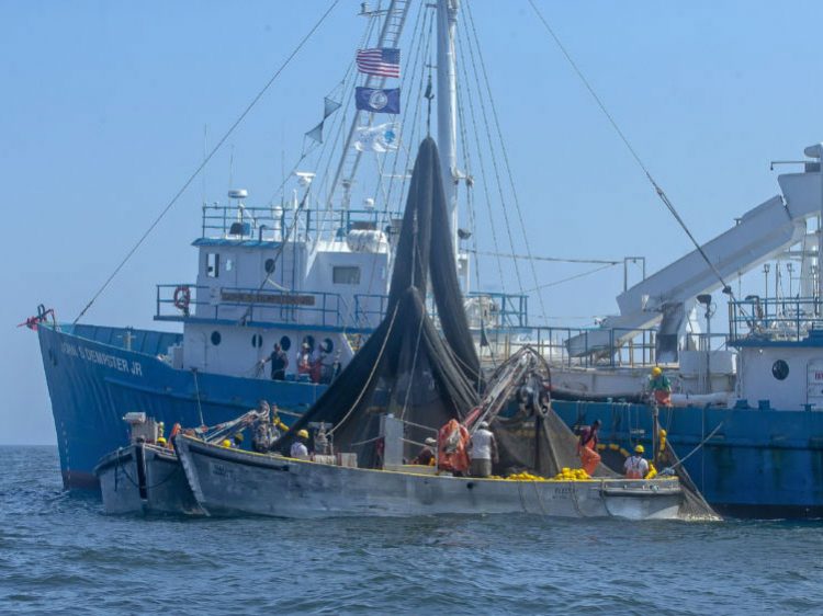 Chesapeake Bay menhaden boat
