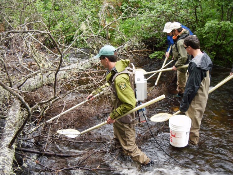 Vermont fish and wildlife