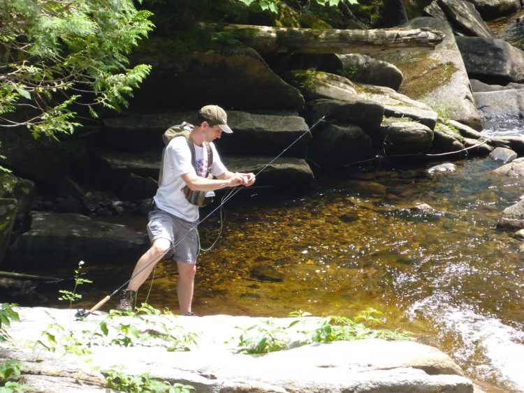brook trout fishing 