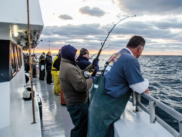 Last-light yellowfin on the line.