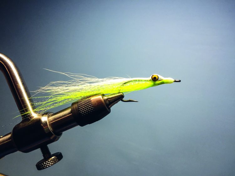 Clouser