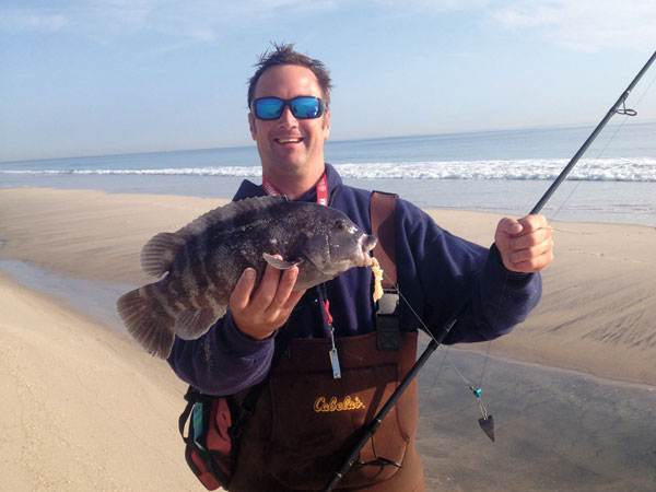 Inlet tautog