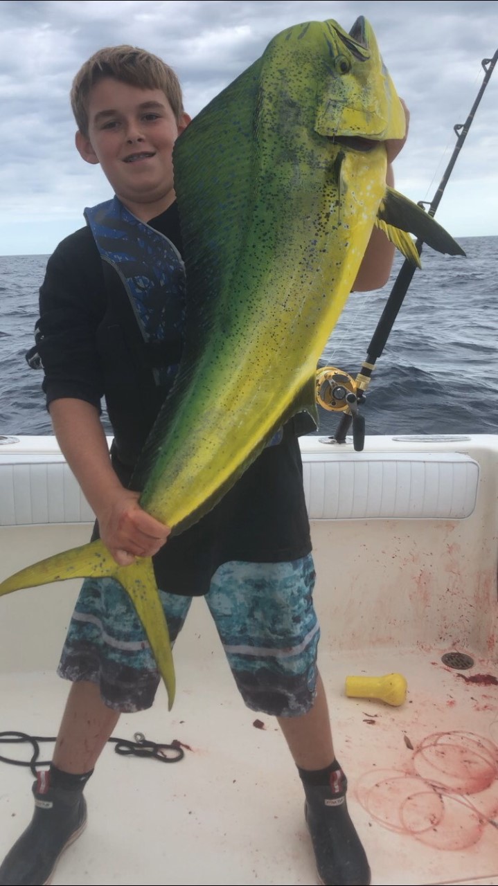 mahi