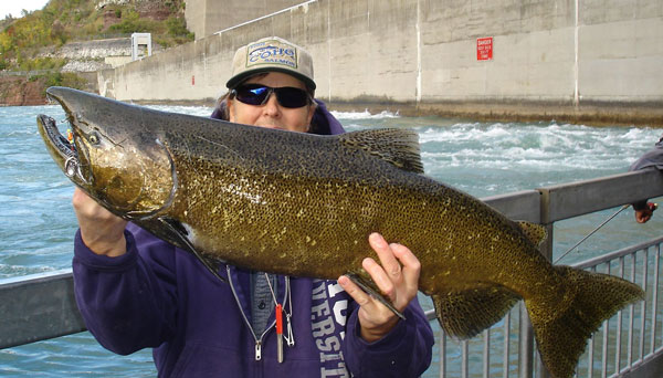 Mike Rzucidlo salmon