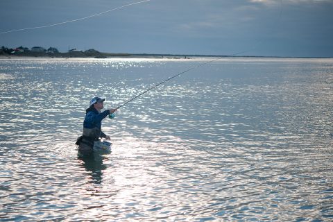 fly fishing the surf