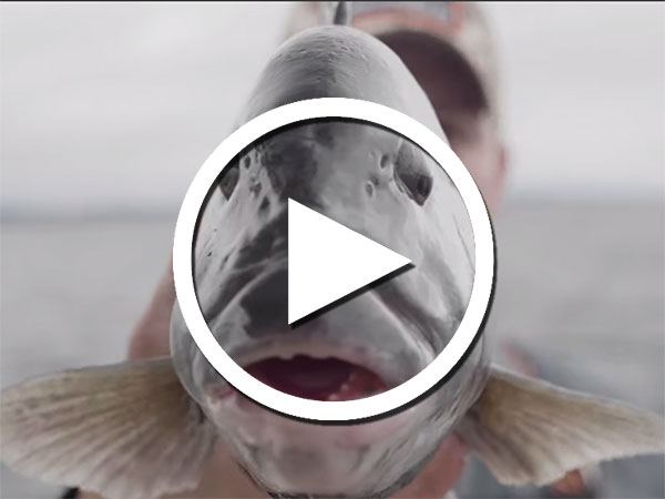 Get Started-Jigging For Tog