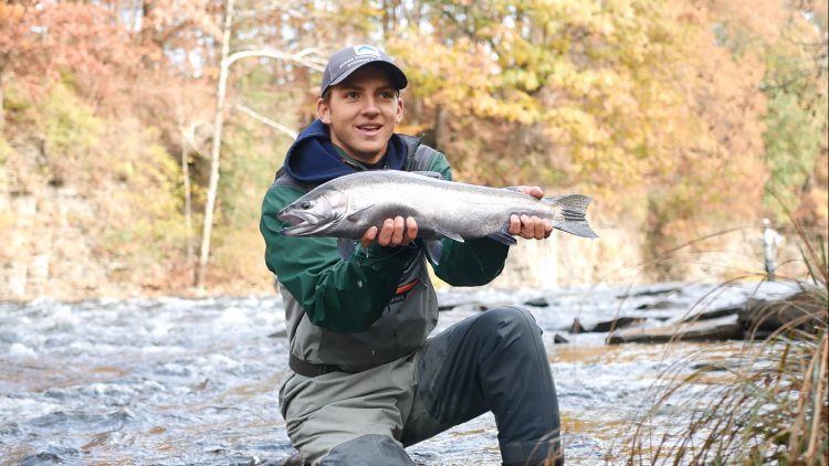 steelhead