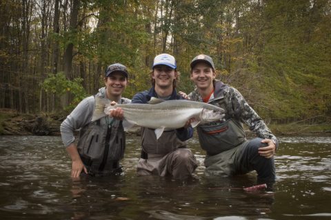 steelhead