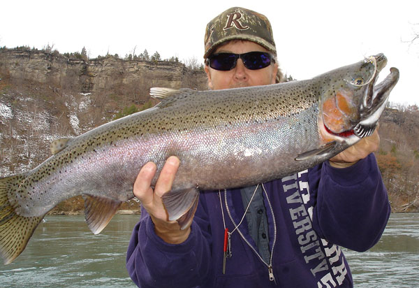 Mike Rzucidlo steelhead 