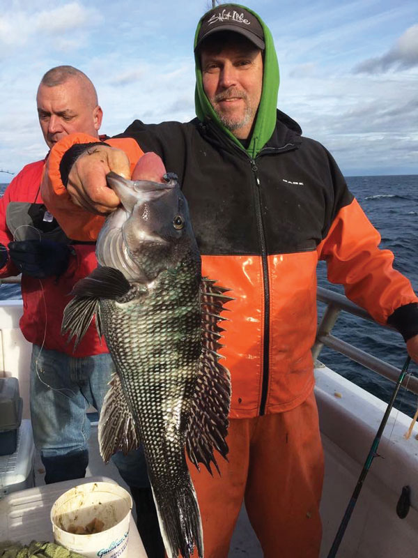 7-pound wreck seabass