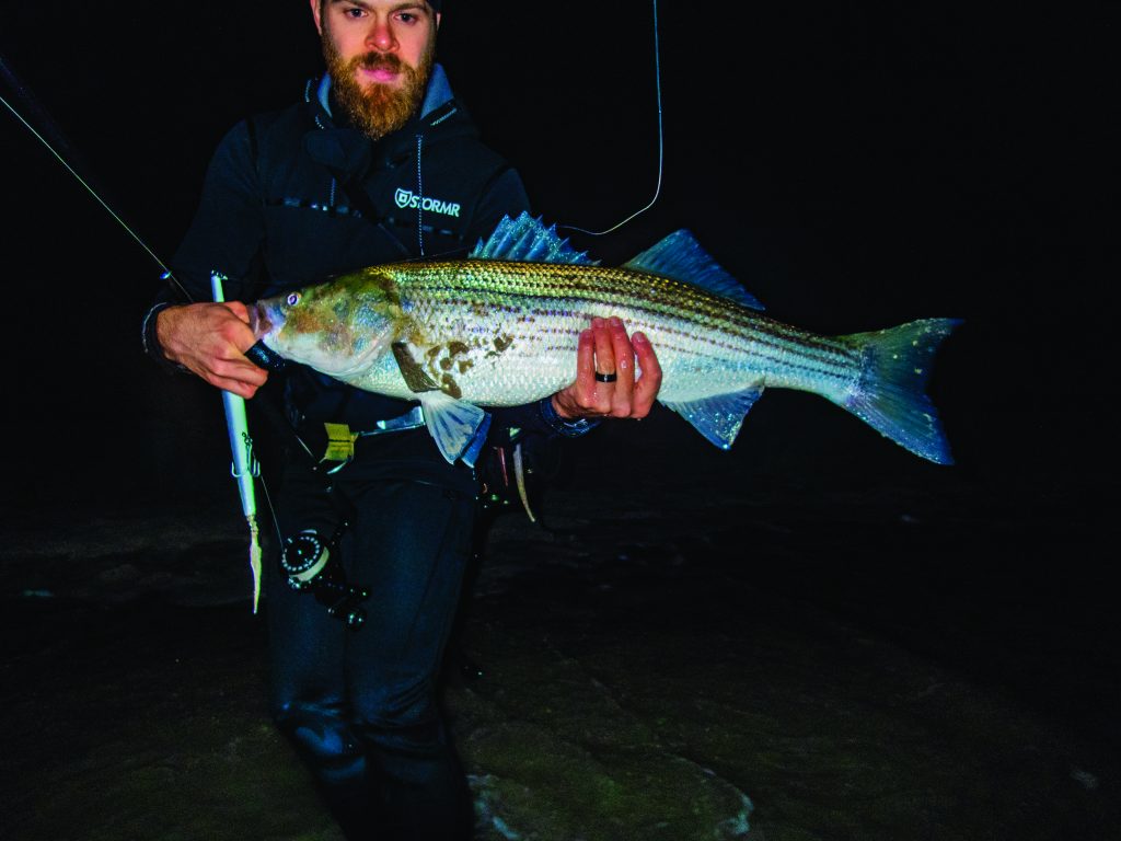 Striped bass on sand eels in November