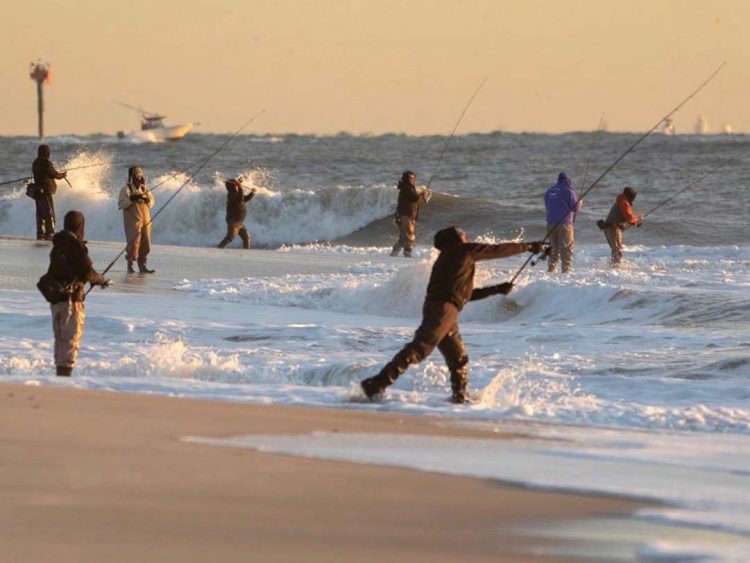 SNJ surf fishing
