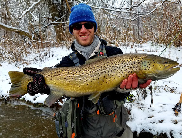 Corey big brown trout