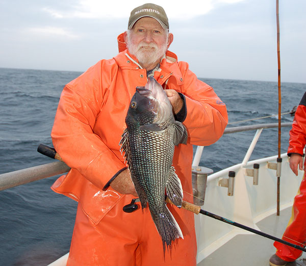 winter wreck sea bass