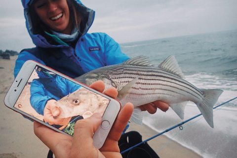 phone photo schoolie