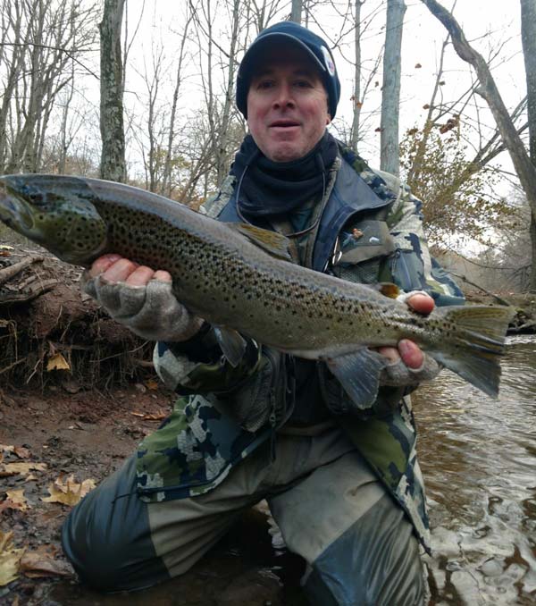 Barry's Atlantic salmon 