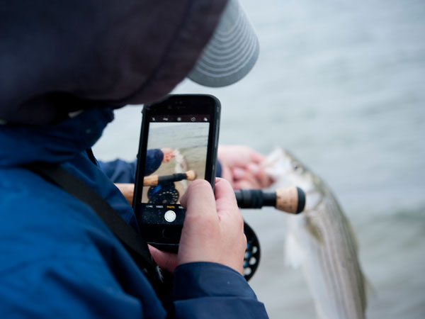 Steady hands photo schoolie