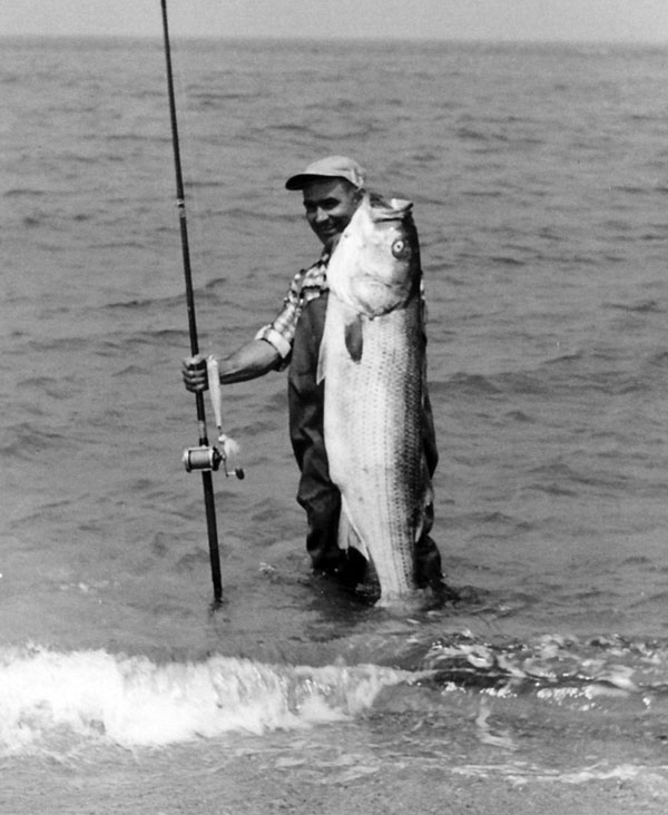 big Montauk bass