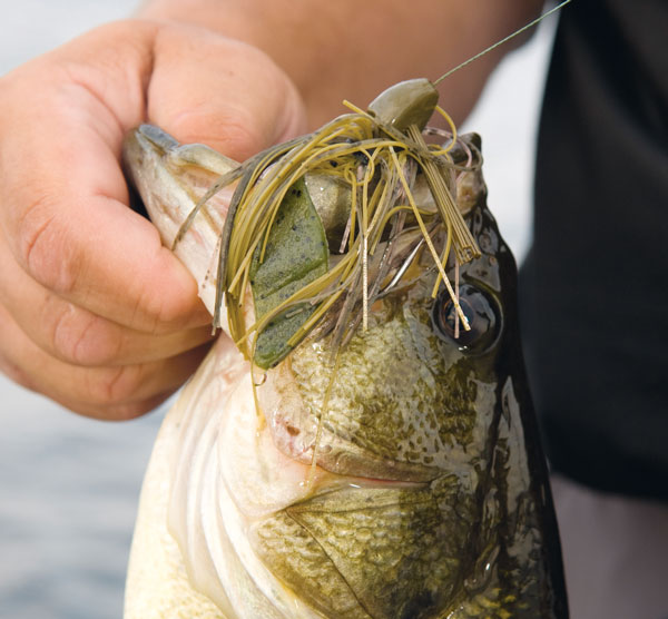 craw jig largemouth
