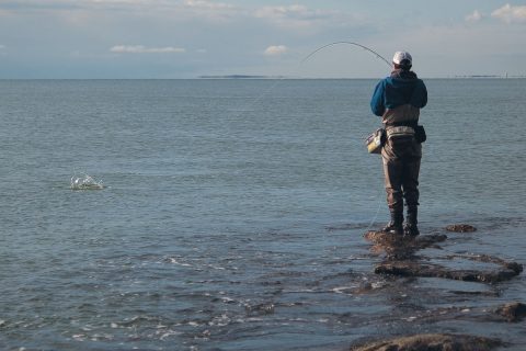 Fly fishing for schoolies