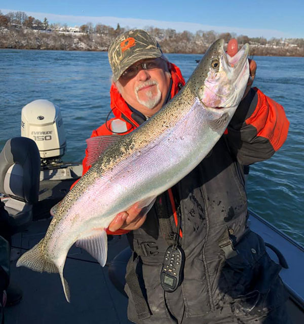 Capt. John DeLorenzo steelhead