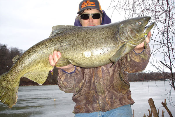 Mike Rzucidlo king salmon