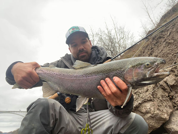 Ric Davila steelhead