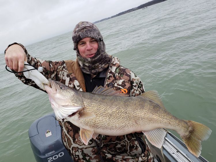 Jim Karker 31-1/2 inch walleye