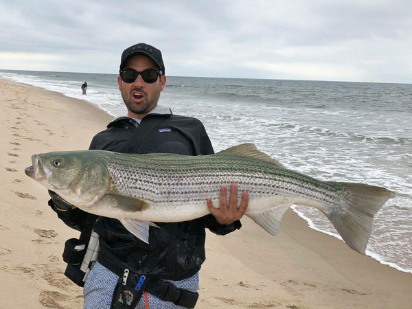 Lobosco 40+ pound striper