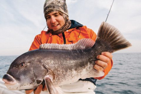 big winter blackfish