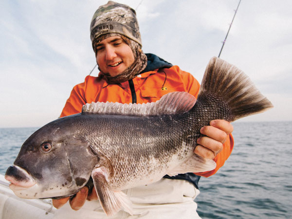 big winter blackfish