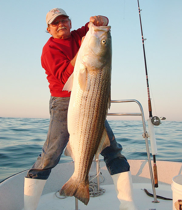 Charlie Cinto with a hefty 40-pound striper