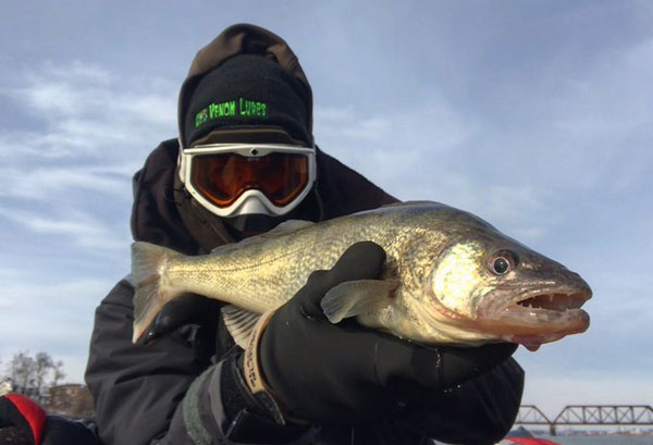 Denis Kreze walleye