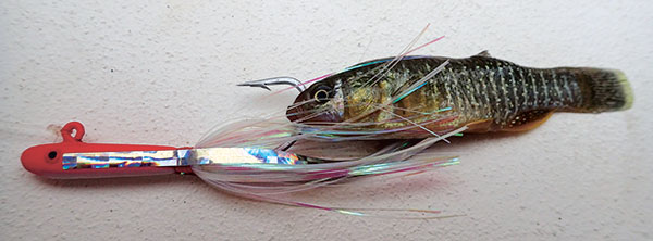 fluke jig with flash