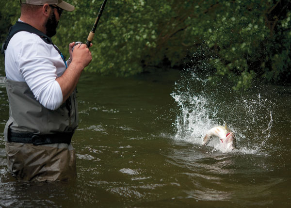techniques for largemouth bass