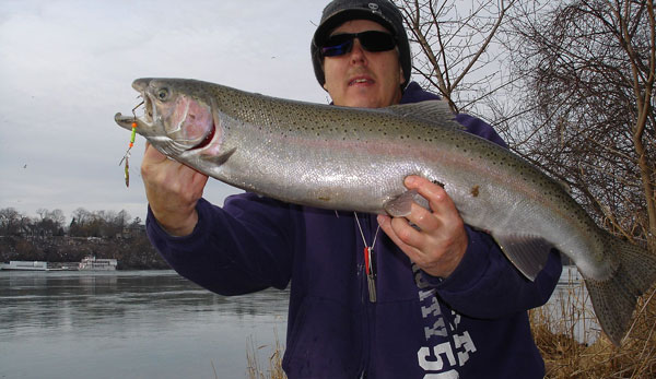 Mike Rzucidlo steelhead