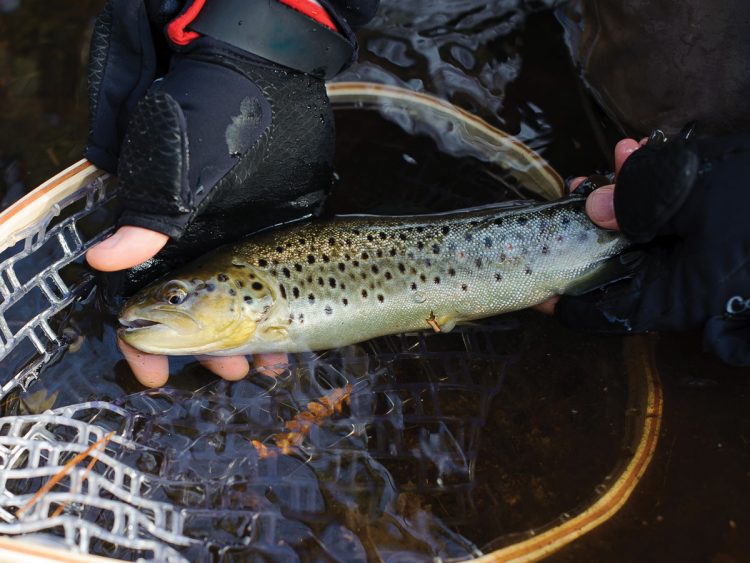 The hook isn&rsquo;t always so much the fish at the end of the line as it is the camaraderie with friends and family.