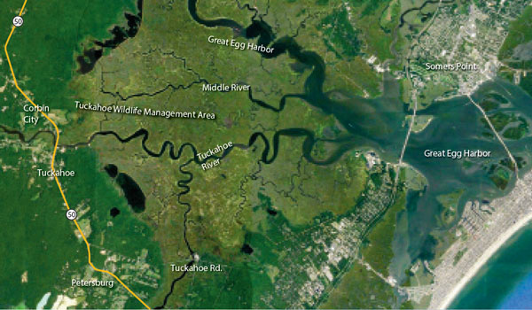 Tuckahoe Wildlife Management Area