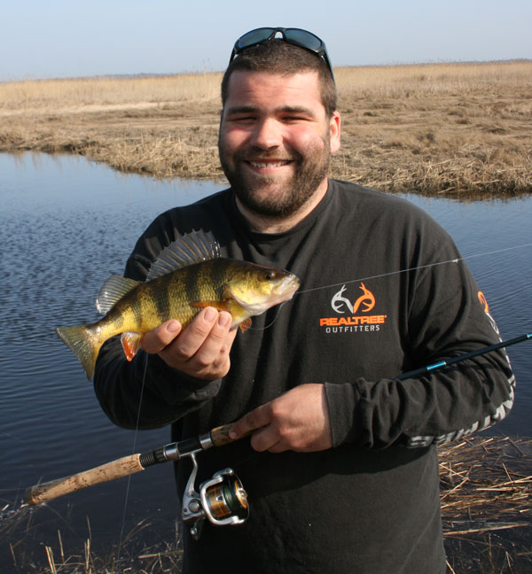 Tuckahoe prespawn yellow perch