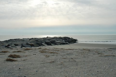 Striper Holy Ground: The Vermont Avenue Jetty