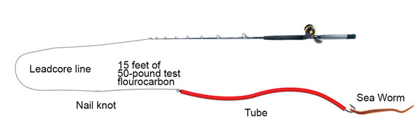 Tube-and-Worm Rig