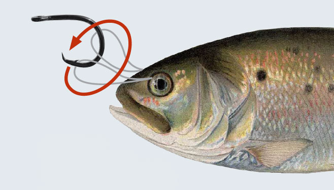 bait bridling step 3