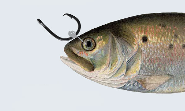 bait bridling step 4