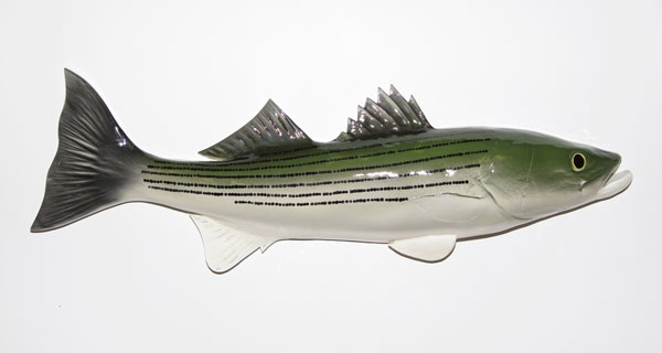Grainger Pottery Sandwich striped bass