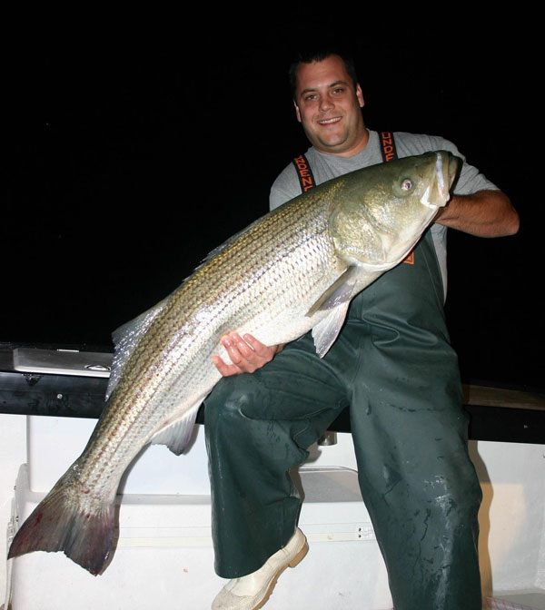 Montauk summer striped bass
