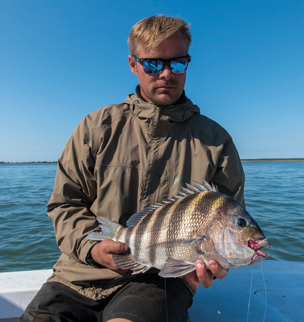 sheepshead