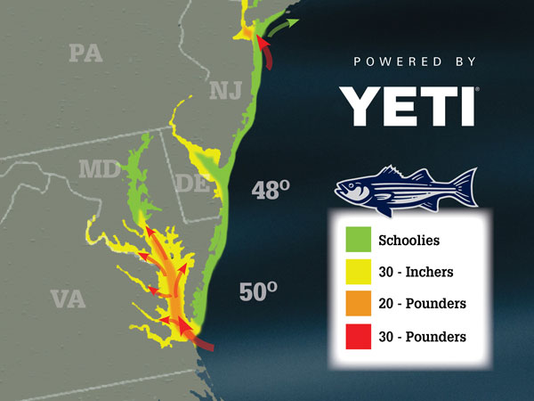 Striper Migration March 27, 2020